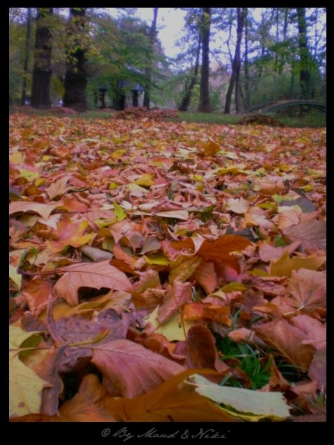 SBĚR TRÁVY A LISTÍ