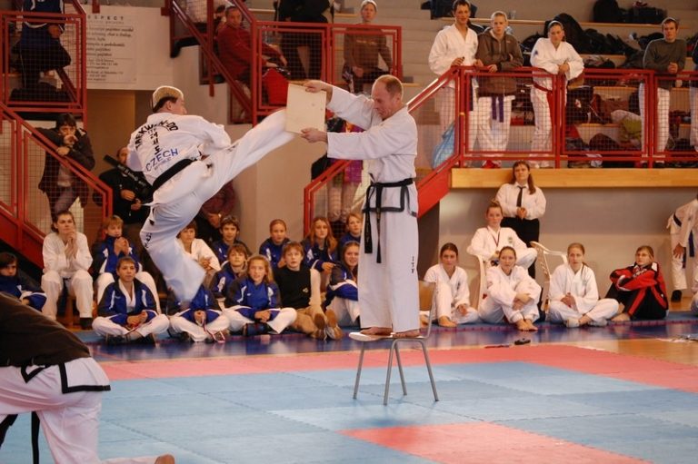 Setkání Středisek talentů …