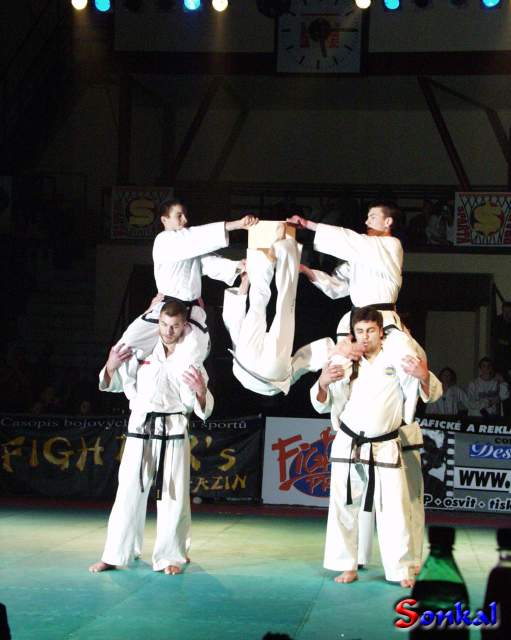 Slavnosti bojových umění – info a pozvánka