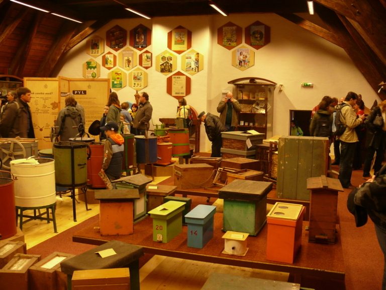 Otevírací doba včelařského muzea