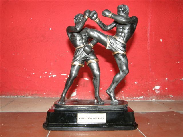 Muay-Thai dnes ve Futuru