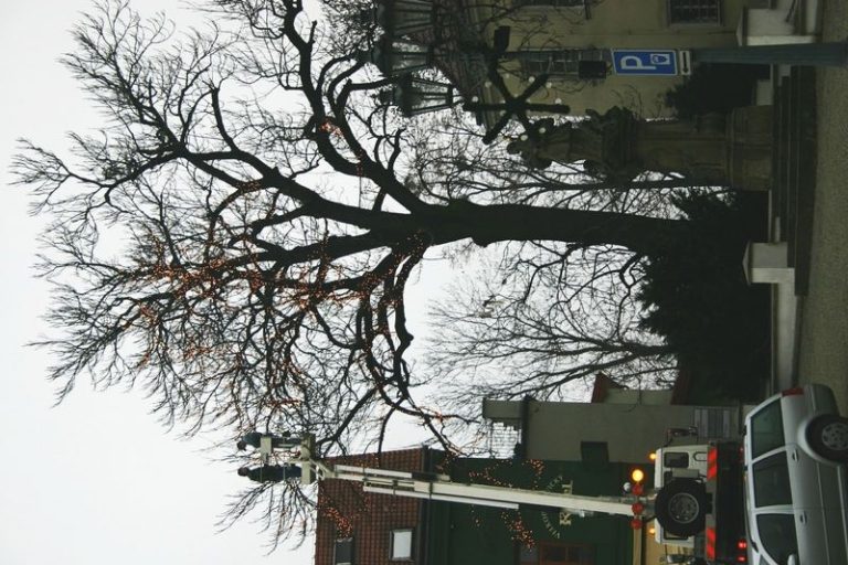 INSTALACE VÁNOČNÍ VÝZDOBY JE V PLNÉM PROUDU