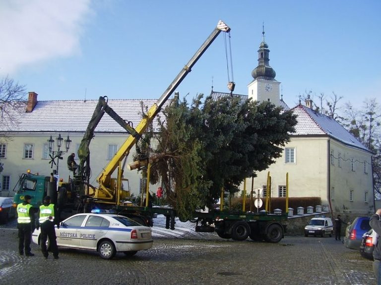 VÁNOČNÍ STROMY JIŽ STOJÍ