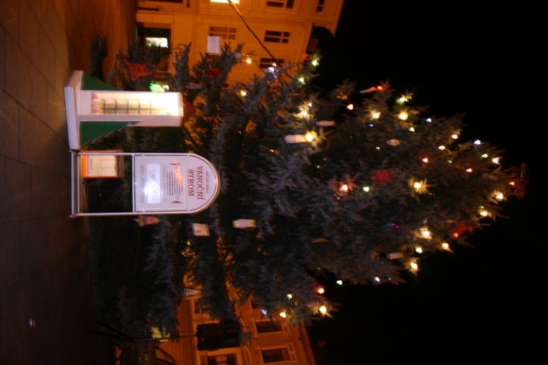 VÁNOČNÍ TRHY A VEŘEJNÁ SBÍRKA „VÁNOČNÍ STROM“