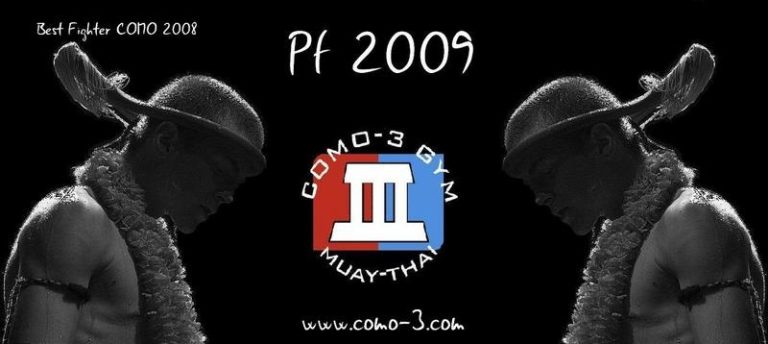 Přání do Nového Roku 2009