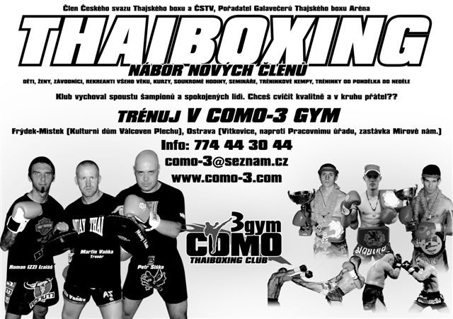 Tréninky v roce 2009 Thajský box
