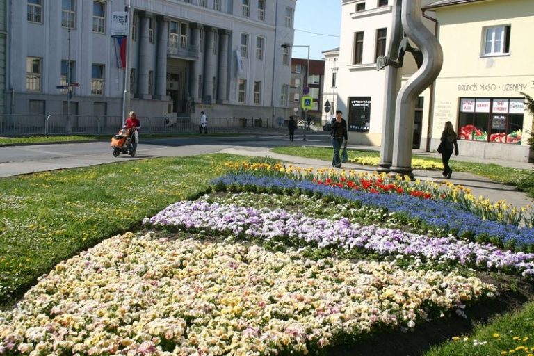 MĚSTO ROZKVETLO