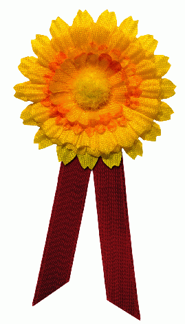 ČESKÝ DEN PROTI RAKOVINĚ – KVĚTINOVÝ DEN