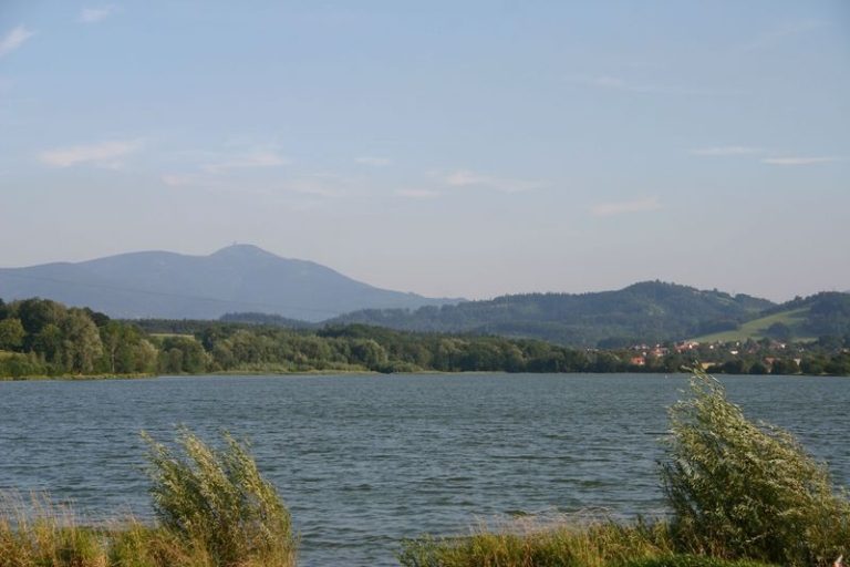 OLEŠNÁ JE BEZ SINIC