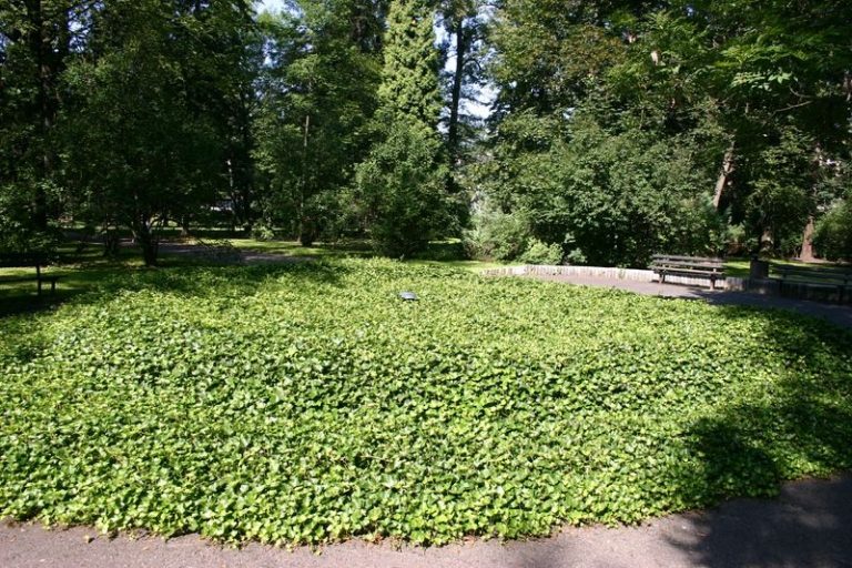 PARK U ŘEKY PROCHÁZÍ DALŠÍMI ÚPRAVAMI