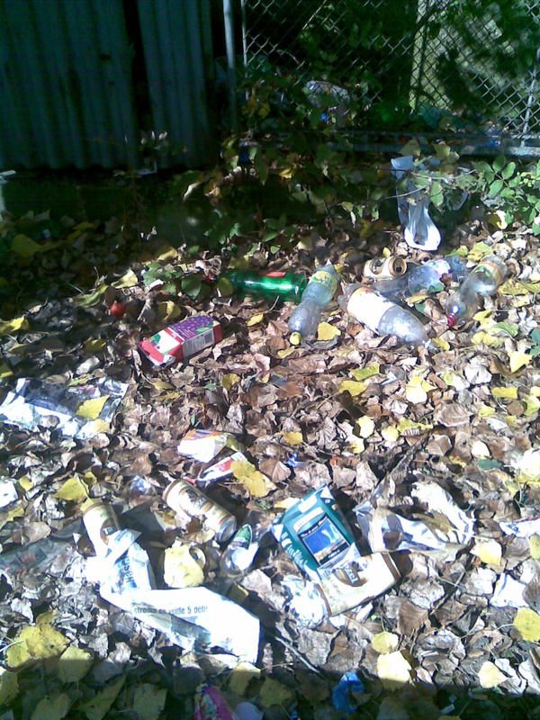 2,73 t odpadu zlikvidováno z černých skládek