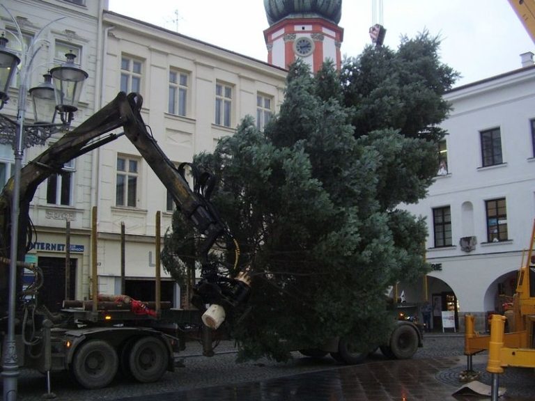 VÁNOČNÍ STROMY UŽ STOJÍ