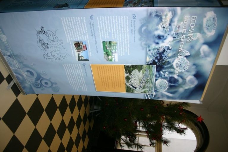 VÝSTAVA „IMAGINE“ V PROSTORÁCH MAGISTRÁTU