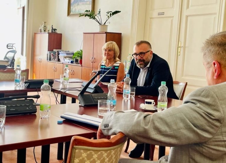 PETICE ZA DĚTSKÉ ODDĚLENÍ NA PŮDĚ PARLAMENTU