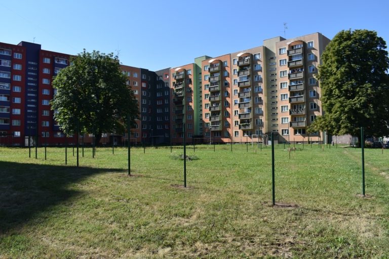 NA SLEZSKÉ VZNIKÁ PSÍ HŘIŠTĚ