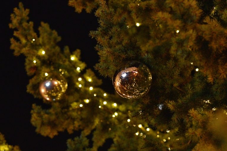 ROZSVĚCOVÁNÍ VÁNOČNÍHO STROMU A ADVENTNÍ MĚSTEČKO