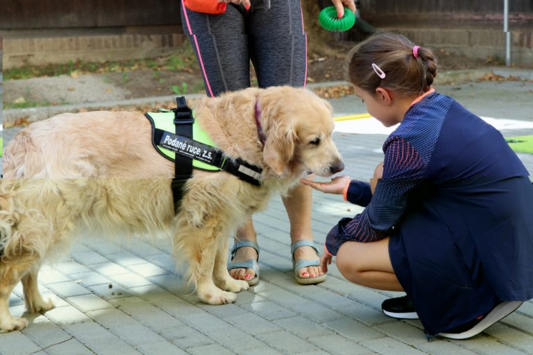 PODANÉ RUCE ZAUJALY DOBROČINNÝ BAZAR, SPOLEK ZÍSKAL ODMĚNU