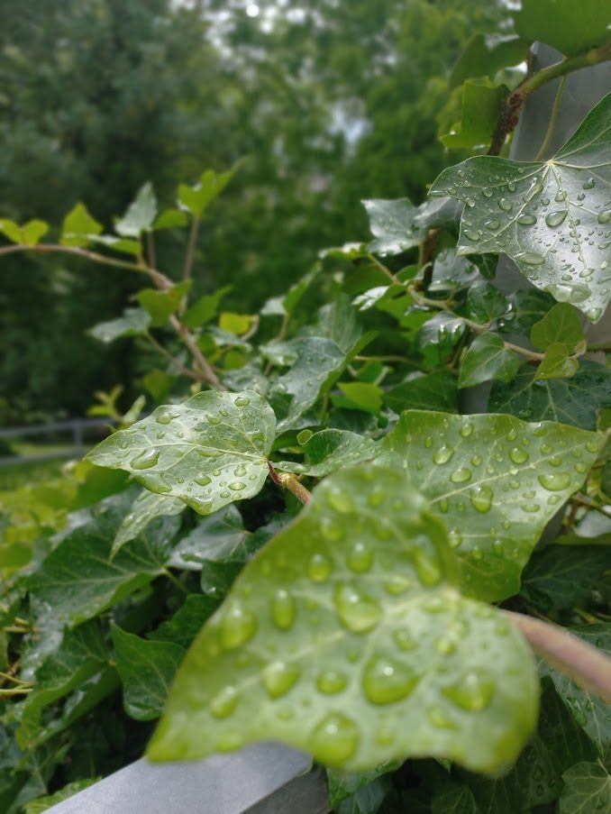 ZMĚNA KLIMATU MĚSTO NEZASKOČÍ, RADNICE PŘIPRAVILA STRATEGII