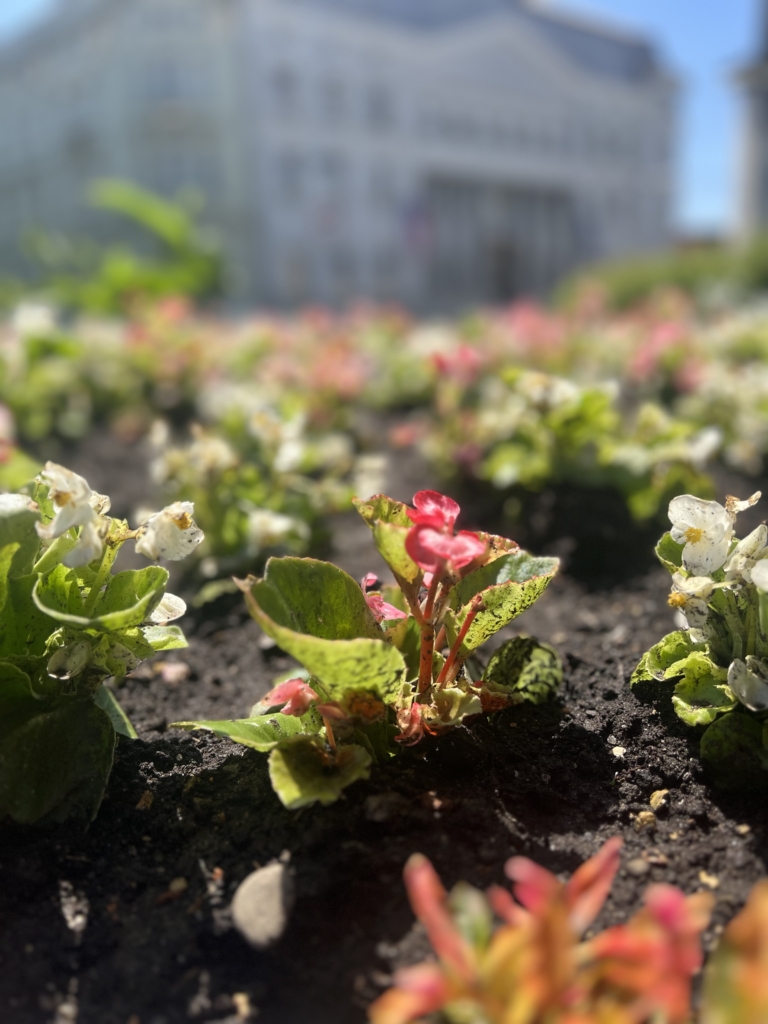 „PLASTOVÉ PYTLE V ZÁHONECH“ NEJSOU NEUKLIZENÝ ODPAD, ANEB JAK PROBÍHÁ RUČNÍ ÚDRŽBA MĚSTA