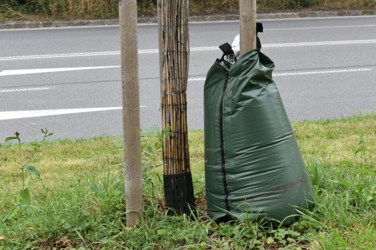 STROMY VE FRÝDKU-MÍSTKU ŽÍZNÍ NETRPÍ, POMÁHAJÍ JIM SPECIÁLNÍ VAKY