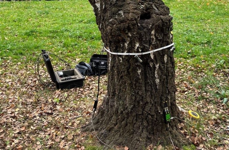 BEZPEČNOST: FRÝDEK-MÍSTEK PROVĚŘUJE STROMY