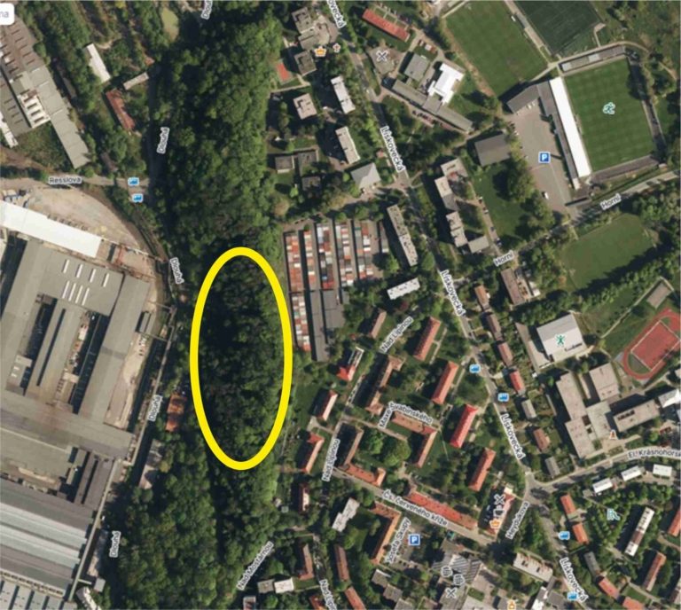 LESY ČR POKRAČUJÍ V KÁCENÍ NEBEZPEČNÝCH STROMŮ V LIPINĚ
