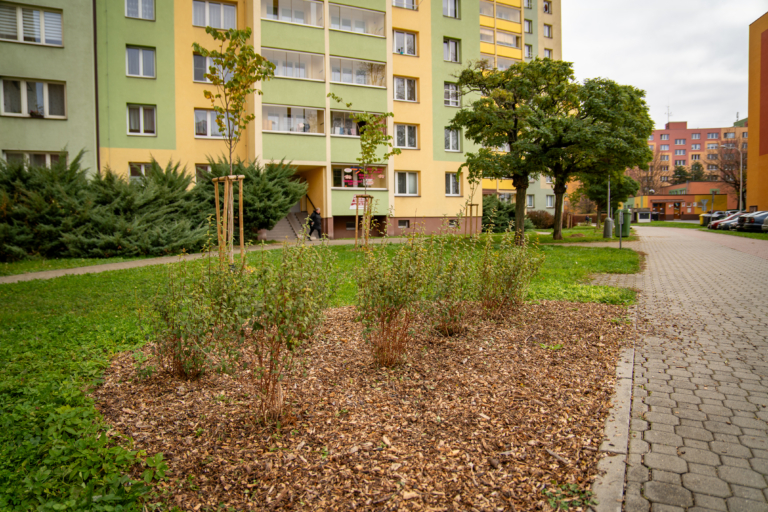VE FRÝDKU-MÍSTKU PROBÍHÁ PODZIMNÍ VÝSADBA DŘEVIN