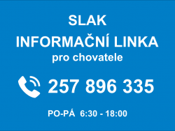 Informace k preventivním opatřením – slintavka a kulhavka
