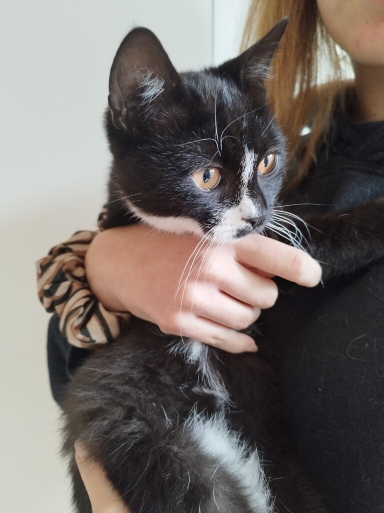 Odchyt 04. 10. 2025: (E.č. 1165/25, 1166/25, samec, samice) ✅