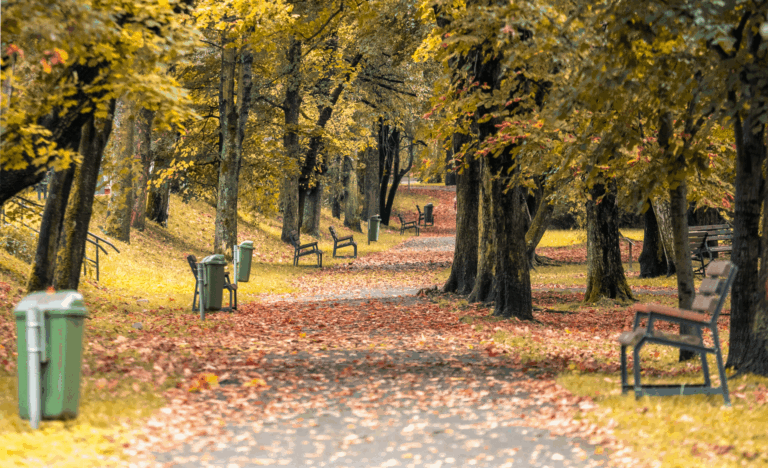 DENNĚ TÉMĚŘ 30 KILOMETRŮ. FRÝDEK-MÍSTEK OCENIL VÍTĚZE ŘÍJNOVÉ VÝZVY 10 000 KROKŮ