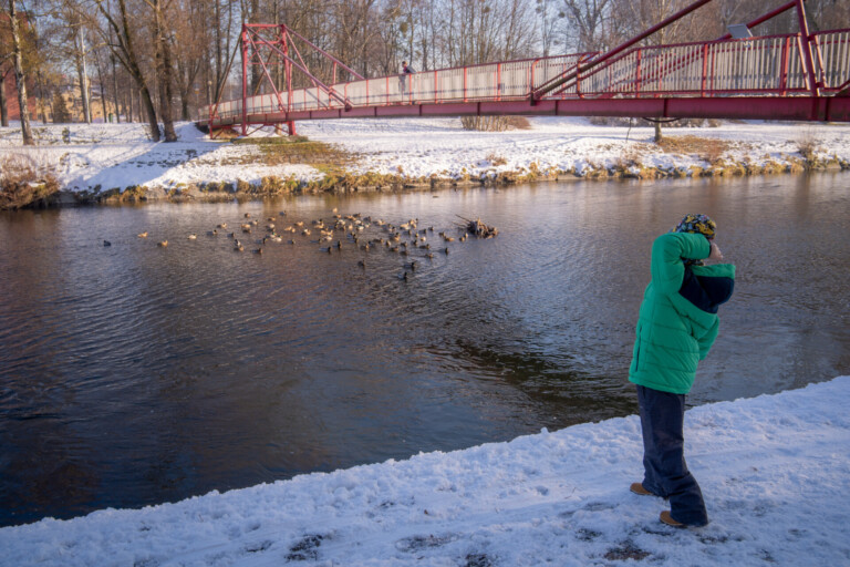 POMÁHEJME S ROZUMEM: ČÍM A JAK SPRÁVNĚ KRMIT V ZIMĚ PTÁKY, ABY JIM TO NEUŠKODILO?