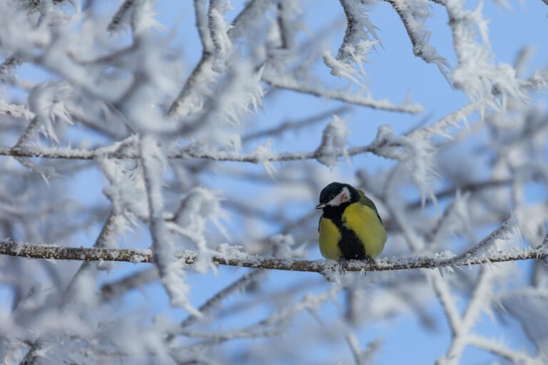 ÚDRŽBA VEŘEJNÉ ZELENĚ V TOMTO TÝDNU