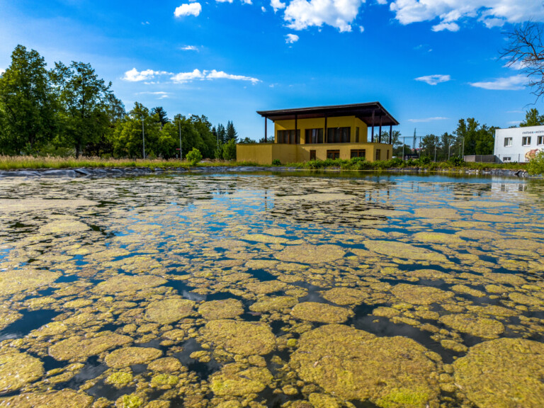SOUD ROZHODL O VRÁCENÍ POZEMKŮ, KTERÉ BYLY PRODÁNY NETRANSPARENTNĚ SPOLEČNOSTI SCUBA