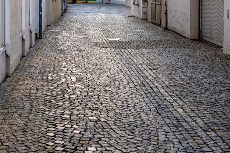 PROJEKT STRAVENKA F≈M MÁ ZA SEBOU DALŠÍ ROK