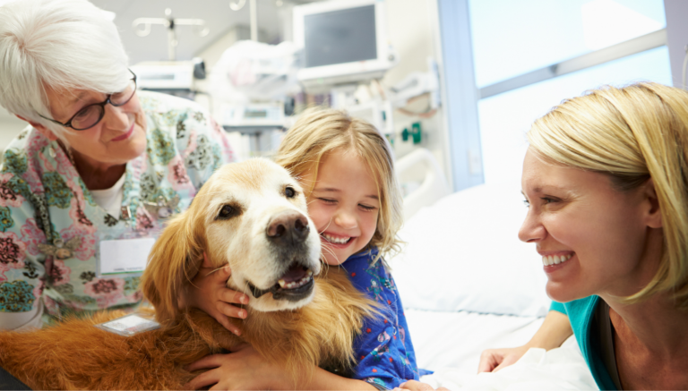 DARUJ F≈M: ZAČALA SBÍRKA NA CANISTERAPII V NEMOCNICI, MĚSTO PŘÍSPĚVKY ZDVOJNÁSOBÍ