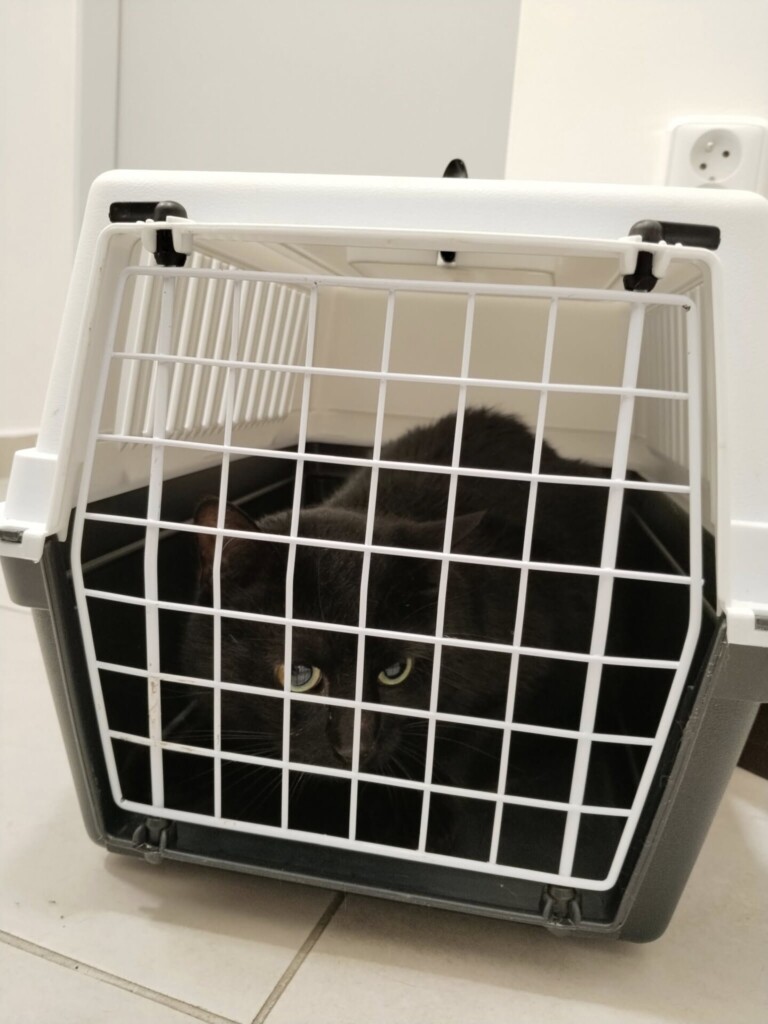 Odchyt 14. 02. 2026: (E.č. 1219/26, samec)