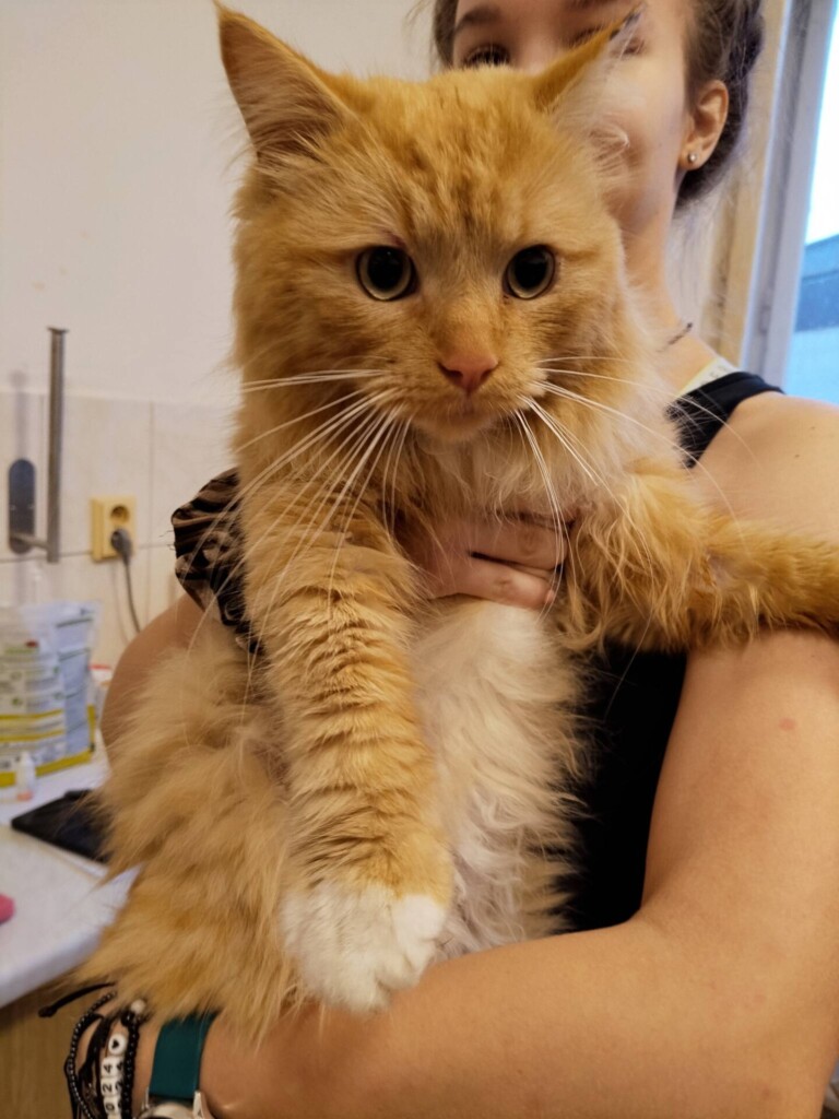 Odchyt 23. 02. 2026: (E.č. 1220/26, samec) ✅