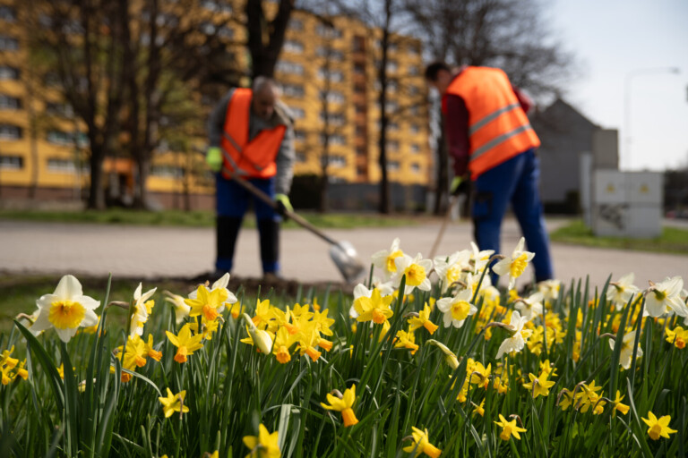 VE FRÝDKU-MÍSTKU ZAČAL JARNÍ ÚKLID ZELENĚ DŘÍVE NEŽ OBVYKLE