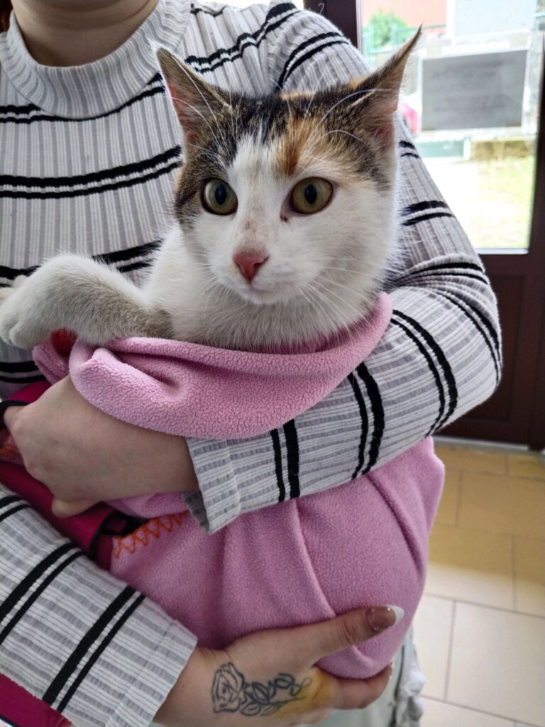 Odchyt 13. 03. 2026: (E.č. 1233/26, samice)