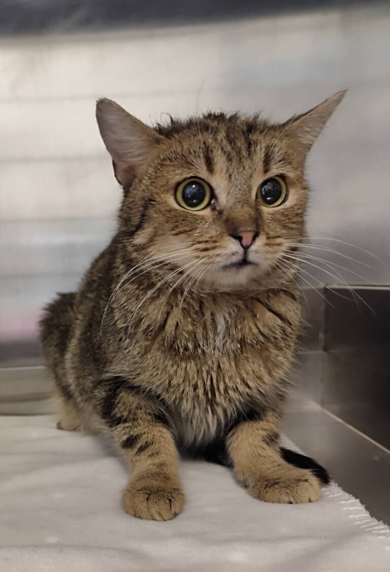 Odchyt 25. 02. 2026: (E.č. 1224/26, 1225/26, samice, samec)