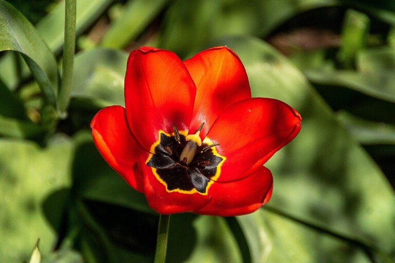 ÚDRŽBA VEŘEJNÉ ZELENĚ V TOMTO TÝDNU