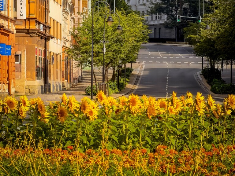 LÉTO VE MĚSTĚ. FRÝDEK-MÍSTEK ROZZÁŘILY SLUNEČNICE I MUŠKÁTY, OPRAVILY SE I DALŠÍ CHODNÍKY